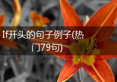 If开头的句子例子(热门79句)