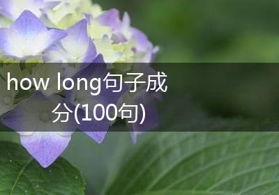 how long句子成分(100句)