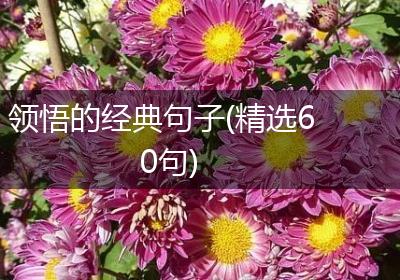 领悟的经典句子(精选60句)
