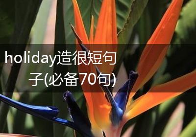 holiday造很短句子(必备70句)