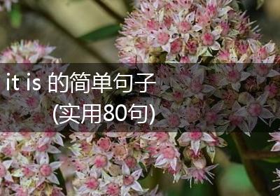 it is 的简单句子(实用80句)