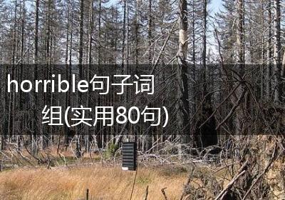 horrible句子词组(实用80句)