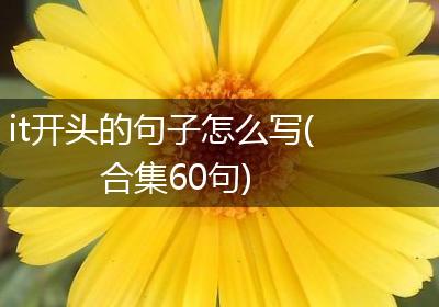 it开头的句子怎么写(合集60句)