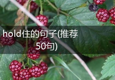 hold住的句子(推荐50句)