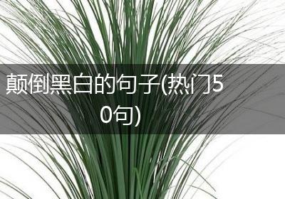 颠倒黑白的句子(热门50句)