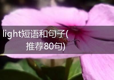 light短语和句子(推荐80句)