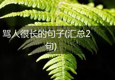 骂人很长的句子(汇总2句)