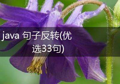 java 句子反转(优选33句)