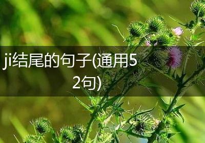 ji结尾的句子(通用52句)