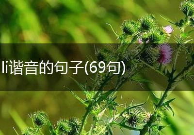 li谐音的句子(69句)