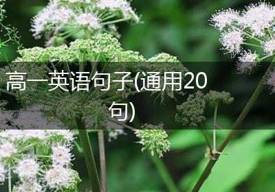 高一英语句子(通用20句)