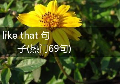 like that 句子(热门69句)
