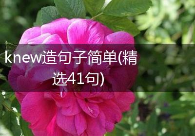 knew造句子简单(精选41句)