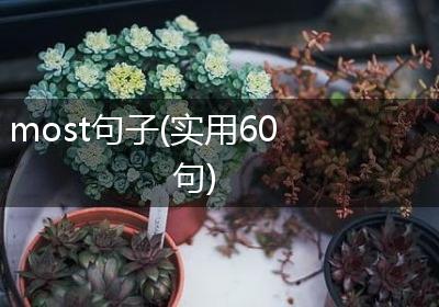 most句子(实用60句)