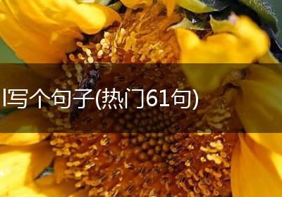 l写个句子(热门61句)