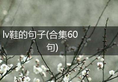 lv鞋的句子(合集60句)