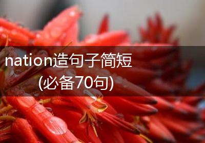 nation造句子简短(必备70句)