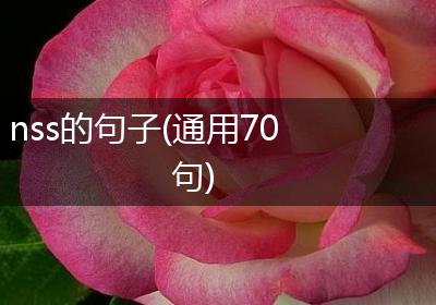 nss的句子(通用70句)