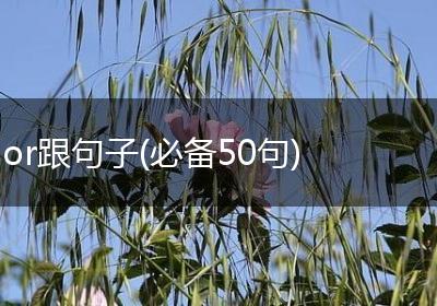 or跟句子(必备50句)