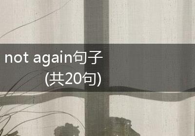 not again句子(共20句)