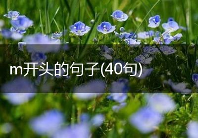 m开头的句子(40句)