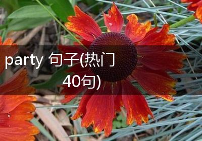 party 句子(热门40句)