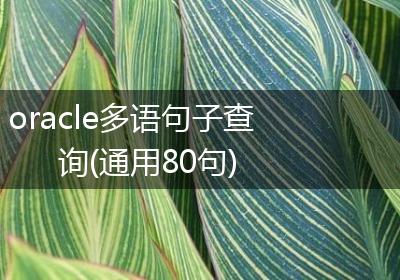 oracle多语句子查询(通用80句)