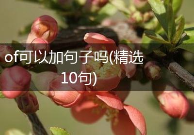 of可以加句子吗(精选10句)
