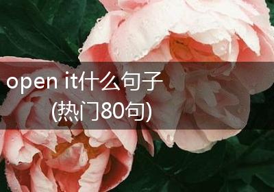 open it什么句子(热门80句)