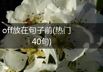 off放在句子前(热门40句)