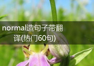 normal造句子带翻译(热门60句)