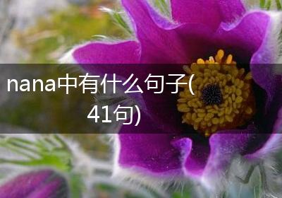 nana中有什么句子(41句)