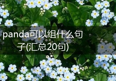 panda可以组什么句子(汇总20句)