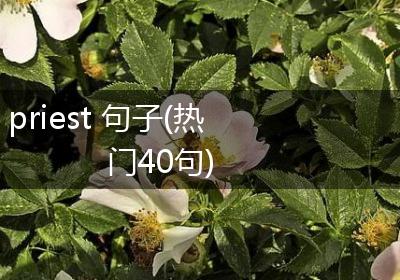 priest 句子(热门40句)
