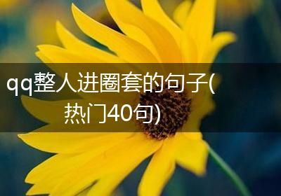 qq整人进圈套的句子(热门40句)
