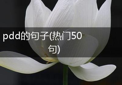 pdd的句子(热门50句)