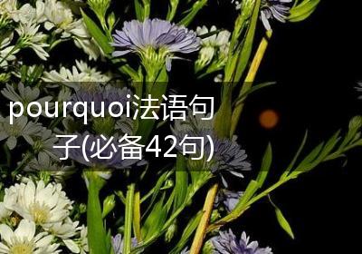 pourquoi法语句子(必备42句)