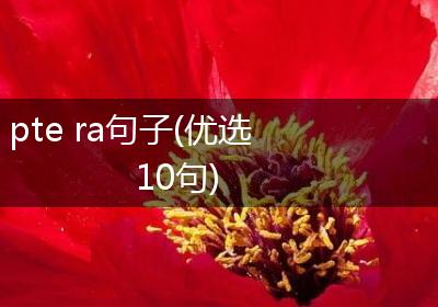 pte ra句子(优选10句)