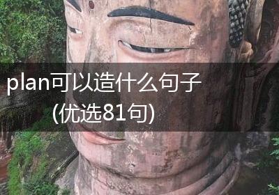 plan可以造什么句子(优选81句)