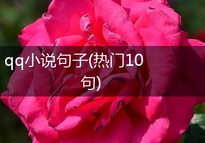 qq小说句子(热门10句)