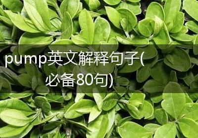 pump英文解释句子(必备80句)