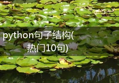python句子结构(热门10句)
