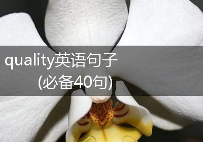 quality英语句子(必备40句)