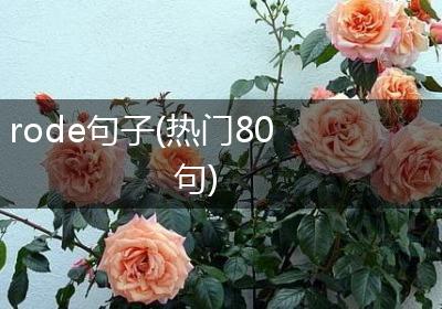 rode句子(热门80句)