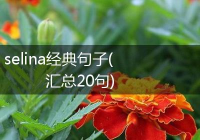 selina经典句子(汇总20句)