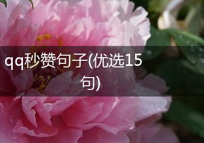 qq秒赞句子(优选15句)