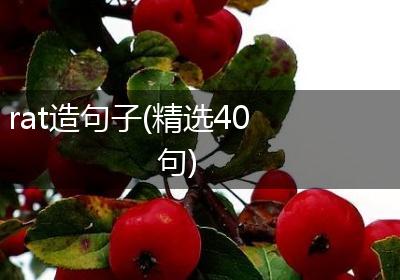 rat造句子(精选40句)