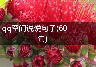 qq空间说说句子(60句)