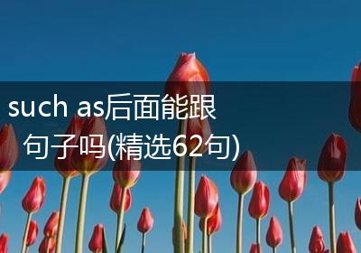 such as后面能跟句子吗(精选62句)