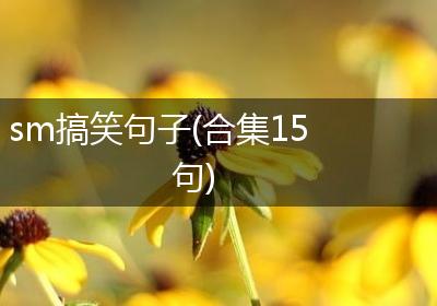 sm搞笑句子(合集15句)